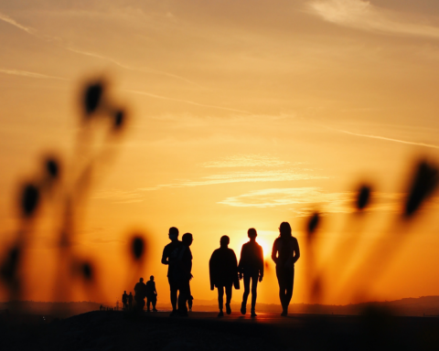People walking in the sunset