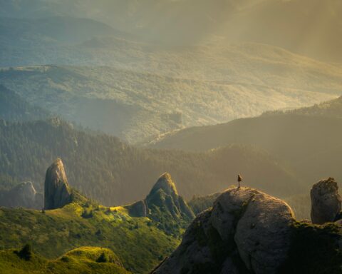Man in countryside