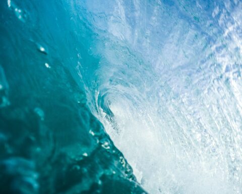 Surf