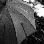 Black umbrella in rain