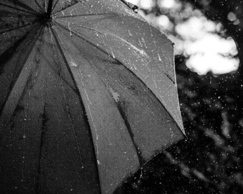 Black umbrella in rain