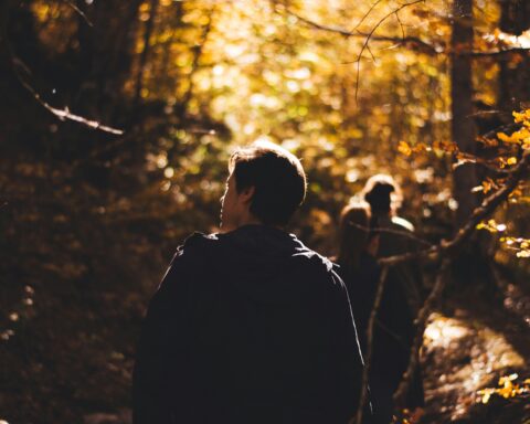 People in forest