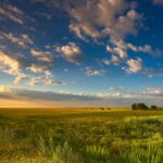 Panoramic view of land and sky