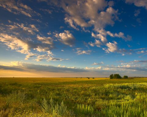 Panoramic view of land and sky