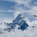 Eagle flies across mountain