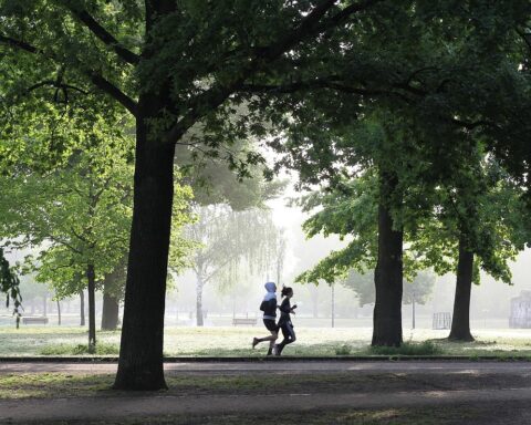 jogging, fitness, jogger, movement, fit, run, park, sport, jog, people, person, sportsman, jogging, jogging, jogging, fitness, fitness, fitness, fitness, fitness, run, run, park, park, park, sport