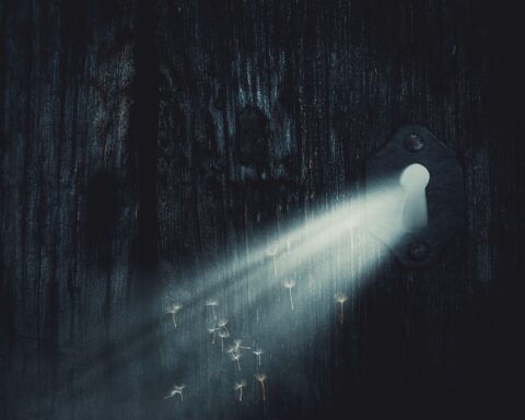 bright spot, door, key hole, sunbeam, hope, seeds, key hole, key hole, key hole, key hole, key hole