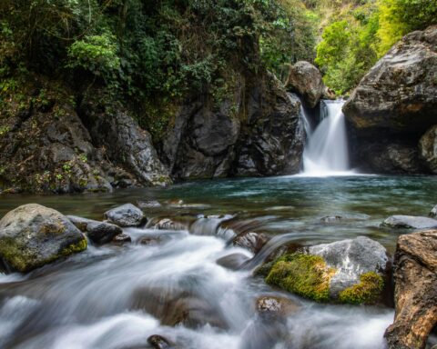 Tranquil waterfall cascading through mossy rocks in a lush forest setting. Perfect for nature lovers.